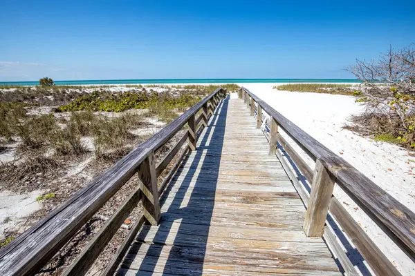 Coquina Sahili, Bradenton, Sarasota, Florida, ABD