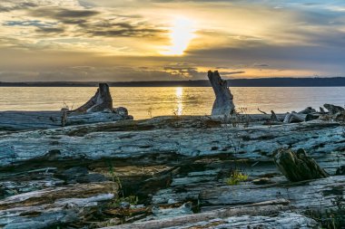 Washington 'da okyanusun bulutlu, kasvetli günbatımı.