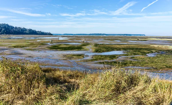 Uitzicht Nisqually Wetlands Washington State Landschapsfoto — Stockfoto
