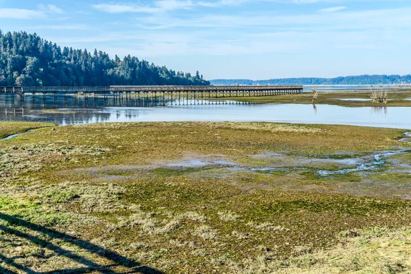 ワシントン州のニスカリー湿地の上のボードウォーク — ストック写真