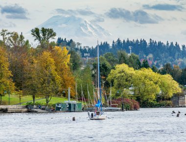 Ağaçlar, Washington, Renton 'daki Gene Coulon Park' ta kıyı boyunca zengin sonbahar renklerini sergiliyor.