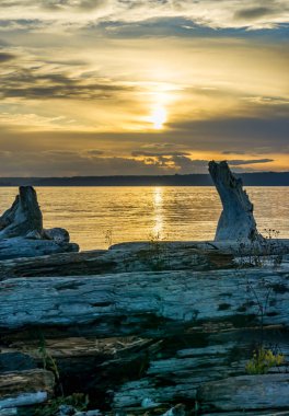 Washington 'da okyanusun bulutlu, kasvetli günbatımı.