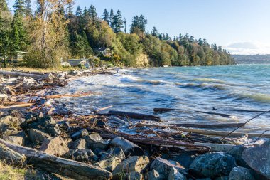Des Moines, Washington 'daki Saltwater State Park' ta rüzgarlı bir günde dalgalar esiyor..