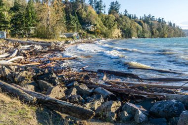 Des Moines, Washington 'daki Saltwater State Park' ta rüzgarlı bir günde dalgalar esiyor..