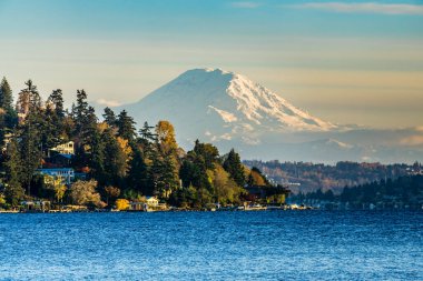 Seattle, Washington 'daki Seward Park' tan Rainier Dağı..