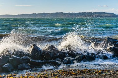 Des Moines, Washington 'daki Saltwater State Park' ta rüzgarlı bir günde dalgalar esiyor..