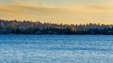 Narin ışık Seattle ağaçlarında ve evlerinde parlıyor. Fotoğraf Seward Park 'tan..