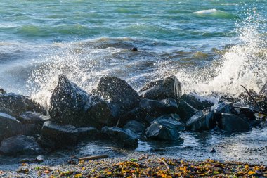 Des Moines, Washington 'daki Saltwater State Park' ta rüzgarlı bir günde dalgalar esiyor..