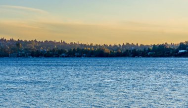 Narin ışık Seattle ağaçlarında ve evlerinde parlıyor. Fotoğraf Seward Park 'tan..