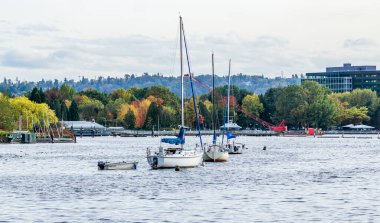 Renton, Washington 'daki Gene Coulon Parkı' nda parlak sonbahar renkleri ve tekneleri.