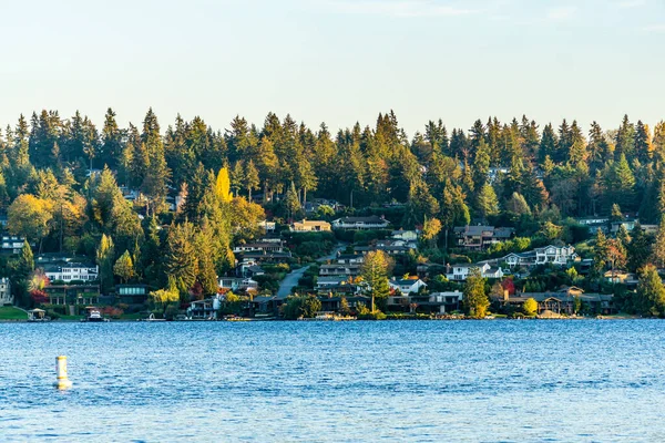Árvores Queda Mercer Island Perto Seattle — Fotografia de Stock