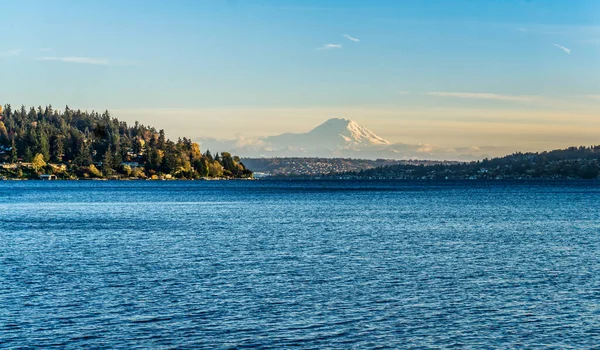 Seattle Washington Daki Seward Park Tan Rainier Dağı — Stok fotoğraf