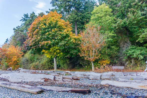 Lincoln Park Loopbrug West Seattle Washington Het Herfst — Stockfoto