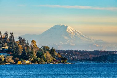 Seattle, Washington 'daki Seward Park' tan Rainier Dağı..