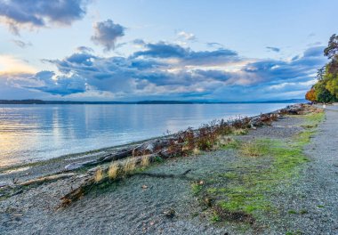 Washington, Batı Seattle 'daki Lincoln Park' ın kıyı şeridi bulutlarla kaplı..