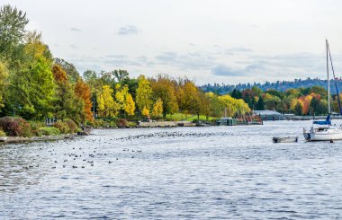 Renton, Washington 'daki Gene Coulon Parkı' nda parlak sonbahar renkleri ve tekneleri.