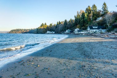 Dash Point, Washington 'daki kıyı şeridi manzarası.