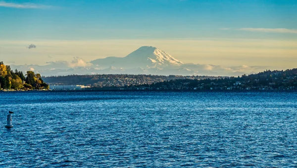 Veiw Del Monte Rainier Seward Park Seattle Washington — Foto Stock