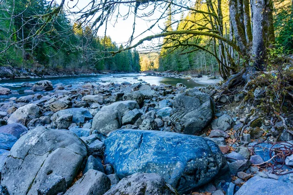 Large Rocks Line Snoqaulmie River Washington State — Stock Photo, Image
