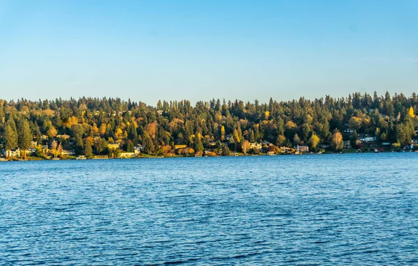 Träd Faller Mercer Island Nära Seattle — Stockfoto