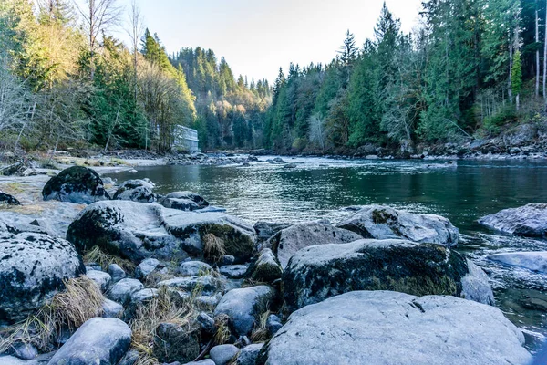 Immergrüne Bäume Säumen Das Ufer Des Snoqualmie River Bundesstaat Washington — Stockfoto