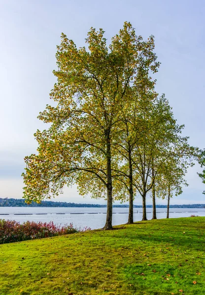 Genialne Kolory Jesieni Gene Coulon Park Renton Waszyngton — Zdjęcie stockowe