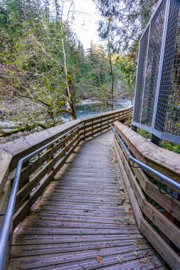 Washington 'daki Snoqualmie Falls' a giriş yolu..