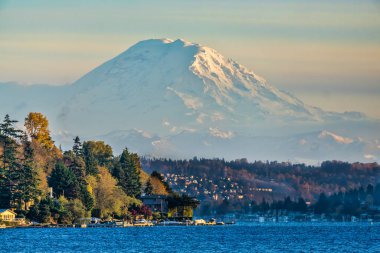 Seattle, Washington 'daki Seward Park' tan Rainier Dağı..