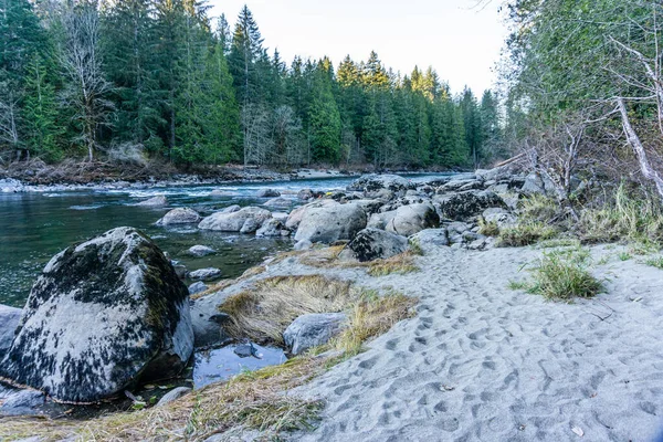 Evergreen Bomen Langs Oever Van Snoqualmie River Staat Washington — Stockfoto