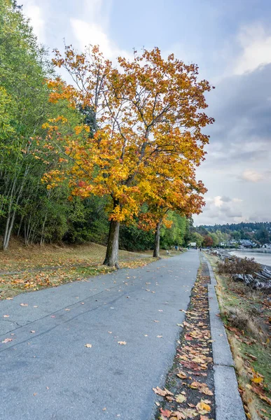 ワシントン州の西シアトルにあるリンカーンパークの歩道 秋の季節です — ストック写真