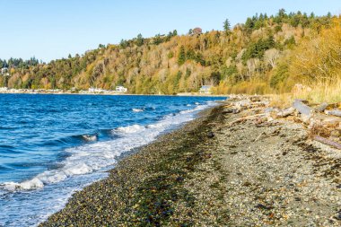 Seahurst, Washington 'daki kıyı şeridi boyunca evler. Sonbahar geldi.