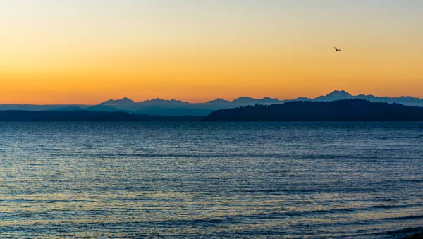 Solnedgång Bakom Olumpic Mountains Över Puget Sound — Stockfoto