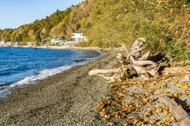 Seahurst, Washington 'daki kıyı şeridi boyunca evler. Sonbahar geldi.