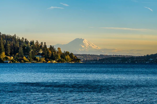 Veiw Del Monte Rainier Seward Park Seattle Washington — Foto Stock