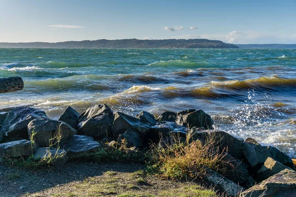 多风天气下咸水州立公园的海景 — 图库照片