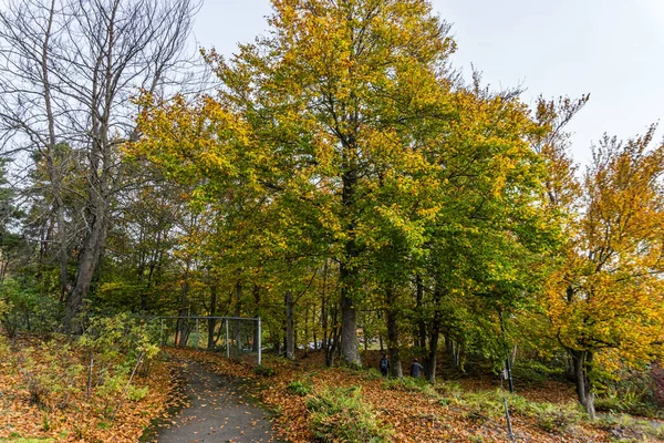 stock image Autumn trees at Gene Coulon Park in Renton, Washington.