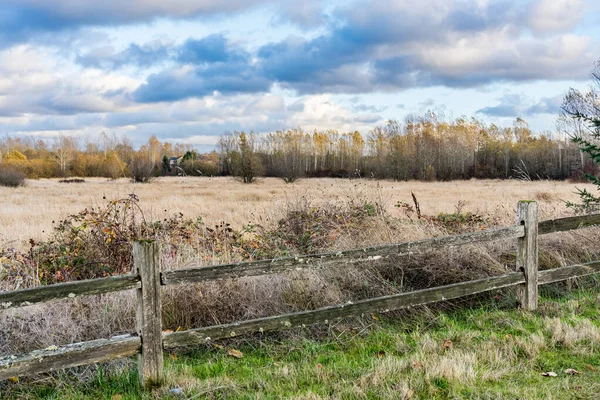 stock image Autumn trees landscape in Kent, Washington.