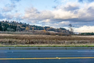 Kent, Washington 'da sonbahar ağaçları manzarası.