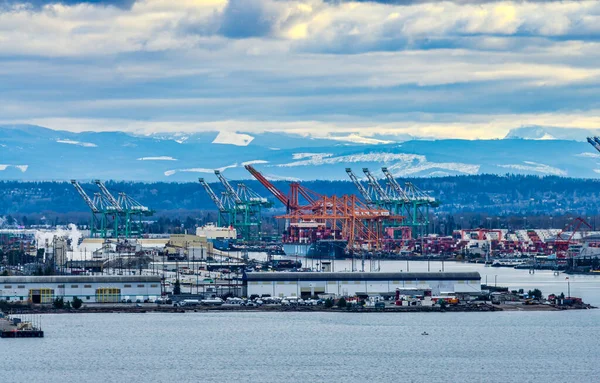 Washington eyaletindeki Tacoma Limanı 'nda makineler..