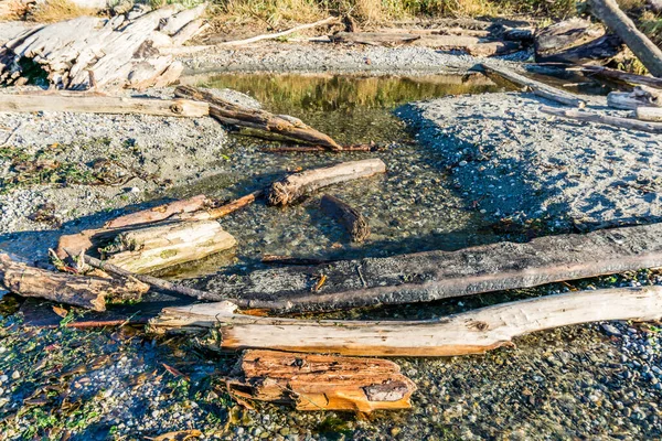 Acqua Sabbia Legni Alla Deriva Seahurst Park Burien Washington — Foto Stock