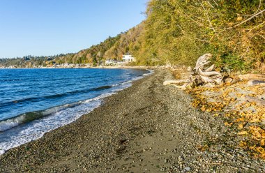 Seahurst, Washington 'daki kıyı şeridi boyunca evler. Sonbahar geldi.