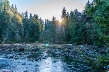 Güneş yemyeşil ağaçların arkasından parlıyor. Aşağıdaki Snoqualmie Nehri ile birlikte..