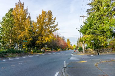 Seatac, Washington 'da sonbahar ağaçları bir sokak hizasında..