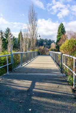 Batı Seattle, Washingotn 'daki Jack Block Park' ta bir uyandırma..