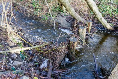 Des Moines Deresi 'nde kışın kütükler olur. Washington Eyaleti 'nde..