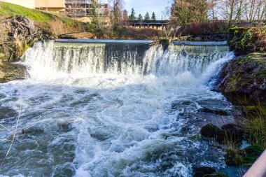 A view of Brewery Park with one of the waterfalls of Tumwater Falls.