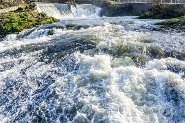 Rapids at Brewry Park in Tumwater, Washington.