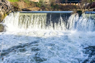 A view of Brewery Park with one of the waterfalls of Tumwater Falls.