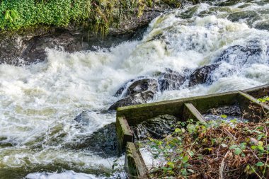 Rapids on the Deschutes River near Tumwater Falls in Washington State.