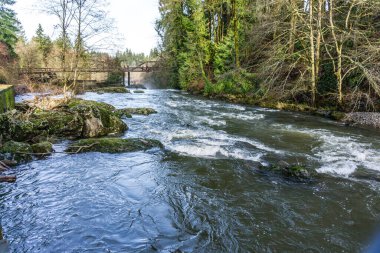 A view of the Deschutes River neare Tumwater Falls in Washington State.